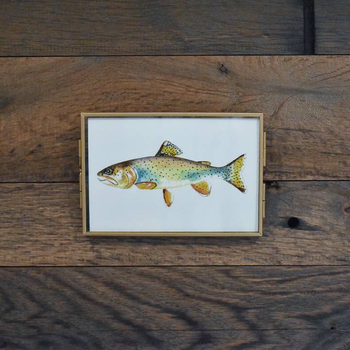 Apache Trout 4x6 waterverfdruk voor wholesale door Hadley Richards Designs