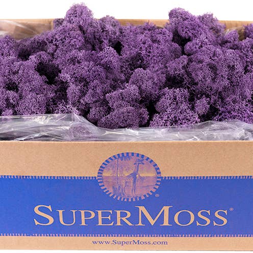 SuperMoss - Wholesale Dried/Pressed Flowers - Reindeer Moss Preserved 3lb Bulk Box