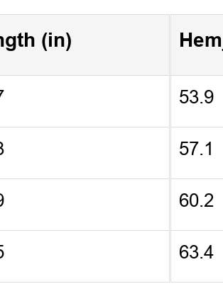 Phalaenopsis Flower Patch Colorblock Plus Size Pullover Top for wholesale on Faire17