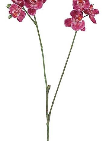 Real-touch Mini Phalaenopsis Orchid X2 W/11 Flowers for wholesale by Select Artificials, Inc.