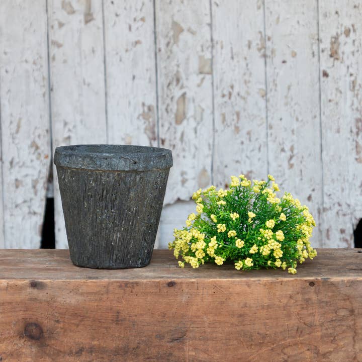 Half Sphere Phlox, Asstd Colors (Pk/04 Ast) for wholesale by Audrey's Home & Gift