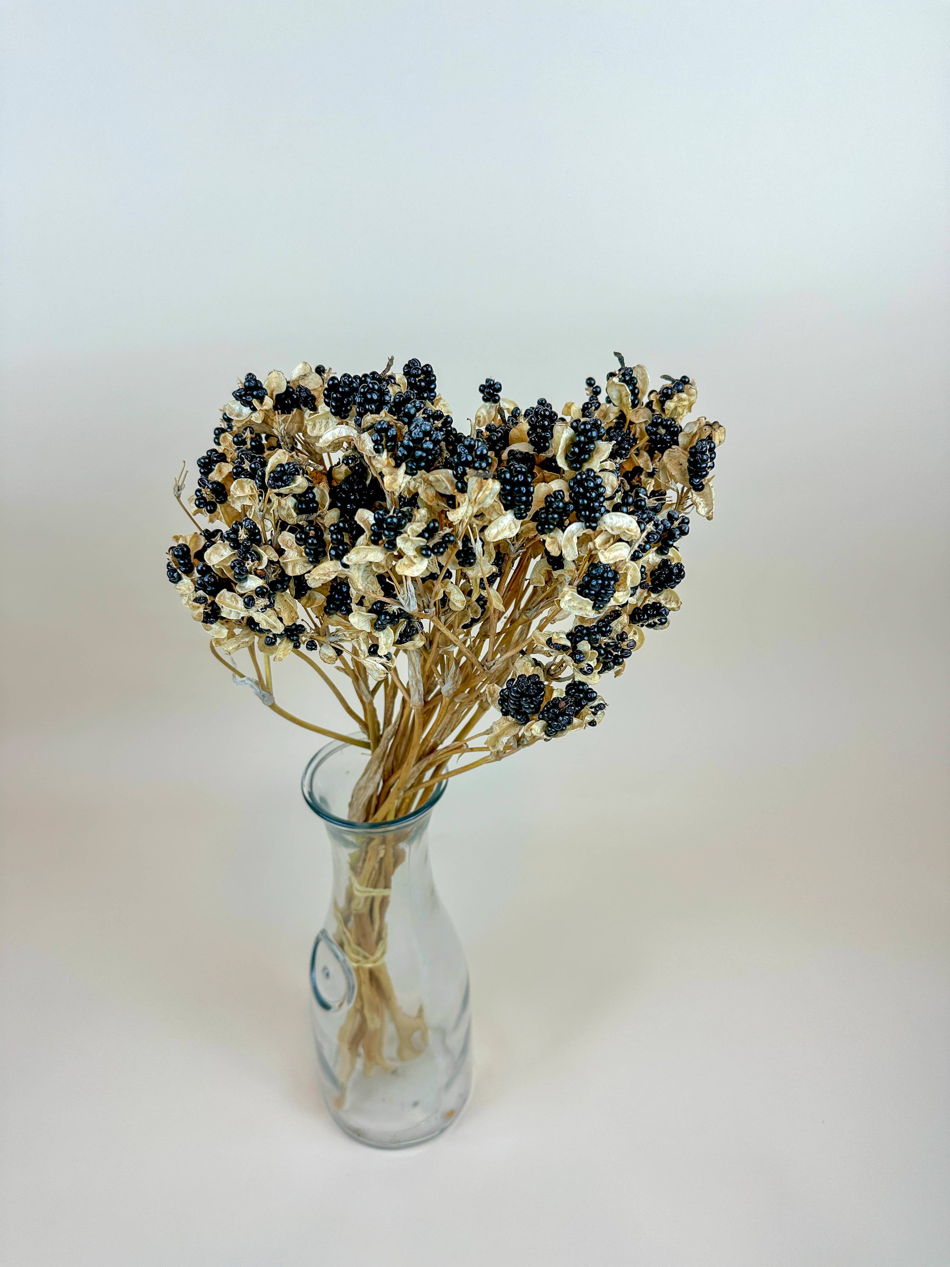 Lovejoy Farms Premium Dried Flowers - Vendita all'ingrosso Fiori secchi/pressati - Blackberry Lilies essiccate naturalmente2