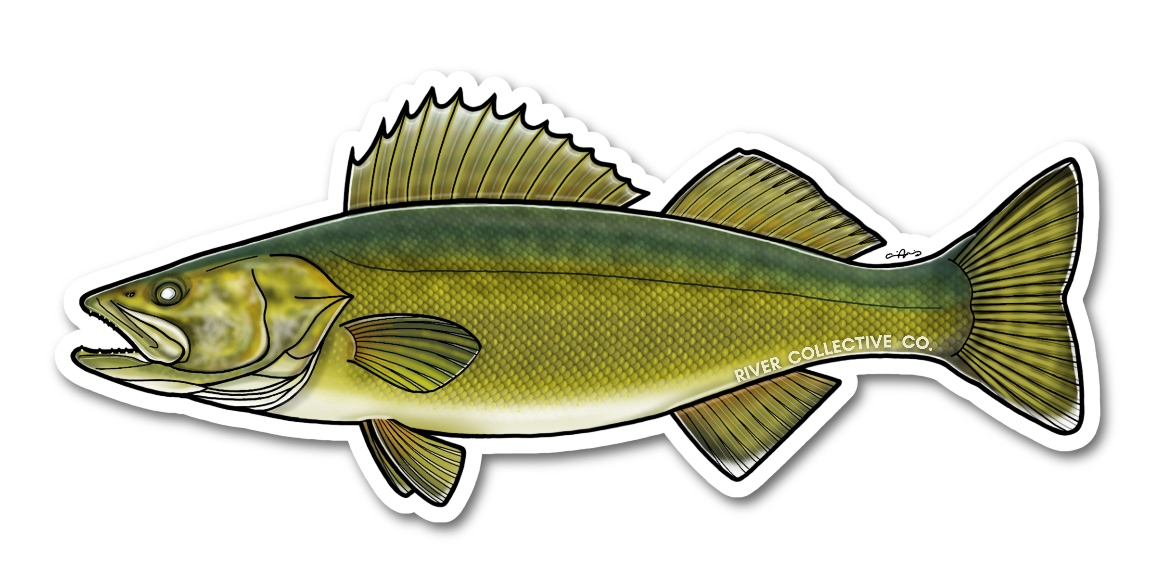 REMOVED BRAND - Wholesale Sticker - WALLEYE DECAL0