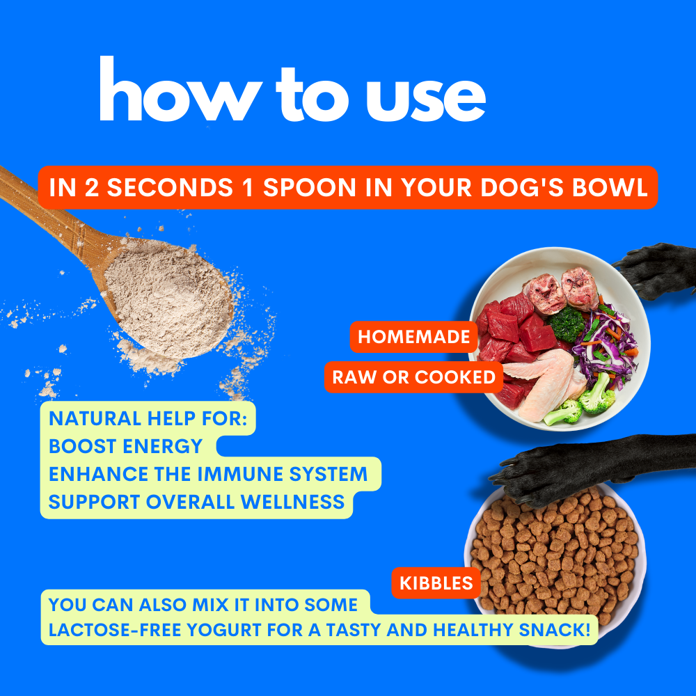 JAMPY – wholesale Pet supplement – Cat/dog – Superfood Green Mix - 100% Natural Vitamin Powder for Dogs2