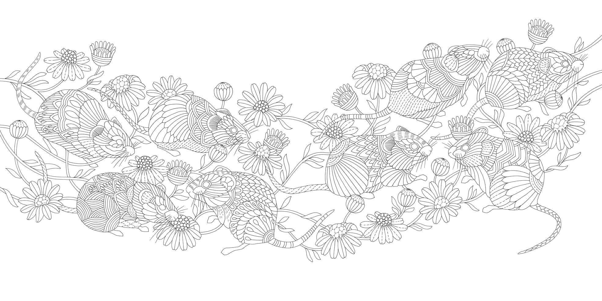 Hachette Book Group - Wholesale Coloring & Activity Book - Adult - Millie Marotta's Island Escape Coloring Book2