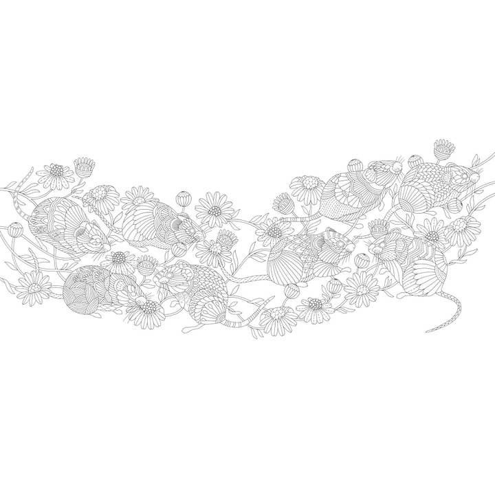 Hachette Book Group - Wholesale Coloring & Activity Book - Adult - Millie Marotta's Island Escape Coloring Book2