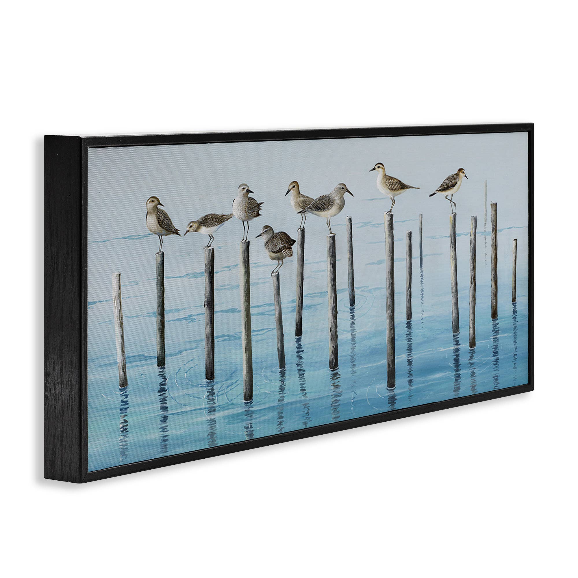 Stupell Industries - Wholesale Wall Sign - Perched Sea Birds - Framed Wall Art19