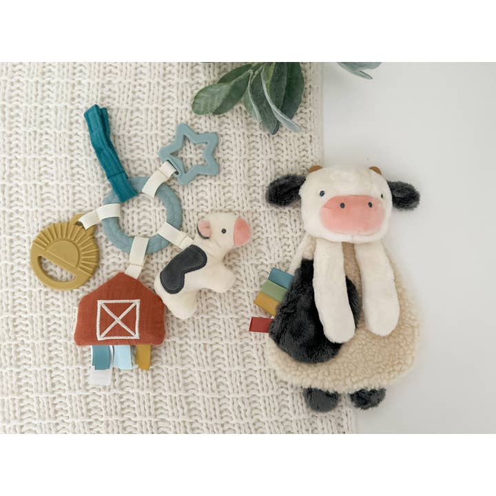 Itzy Ritzy Canada - Vente Lot de jouets – enfant - Coffret cadeau Bitzy Busy™3