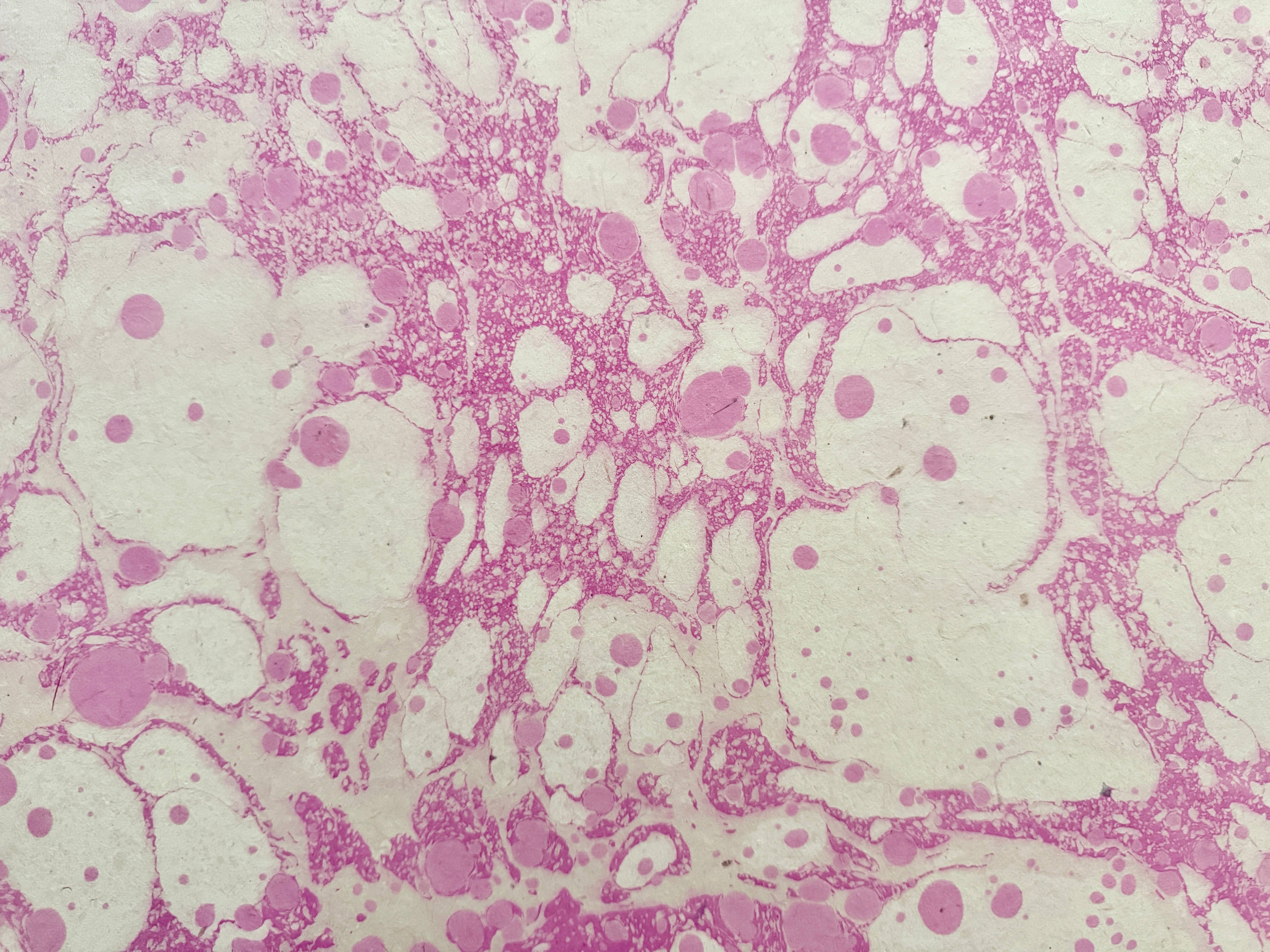 HimalDesign - Wholesale Craft Supplies - Handmade Marble Paper, Craft Paper Supply, Origami Paper2