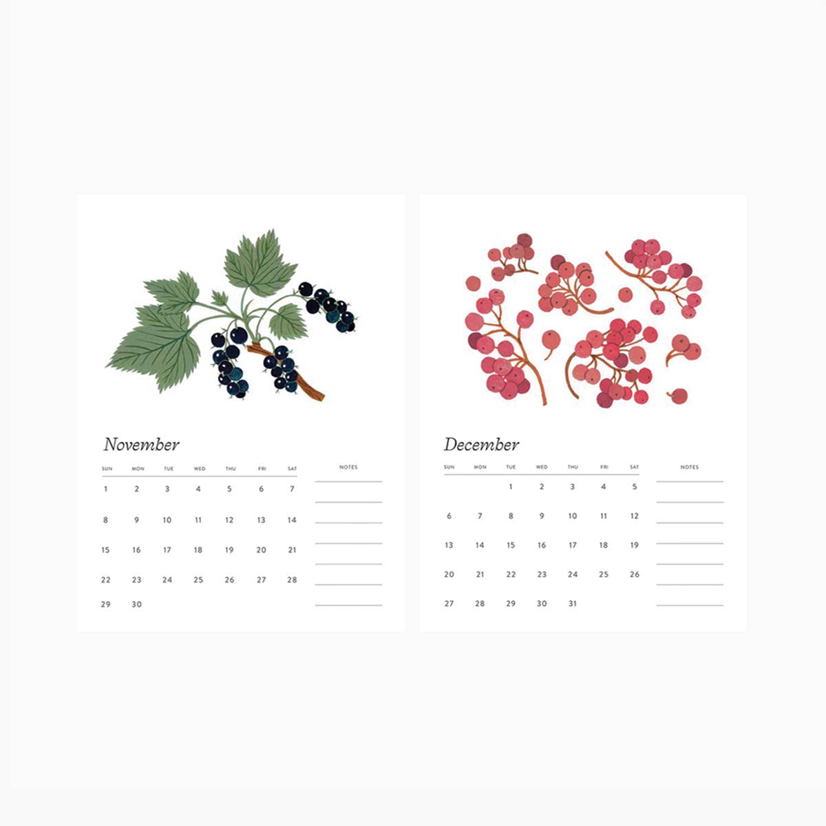 Botanica Paper Co. - Wholesale Calendar - 2026 DESK CALENDAR – Botanical Art | Botanist Collection1