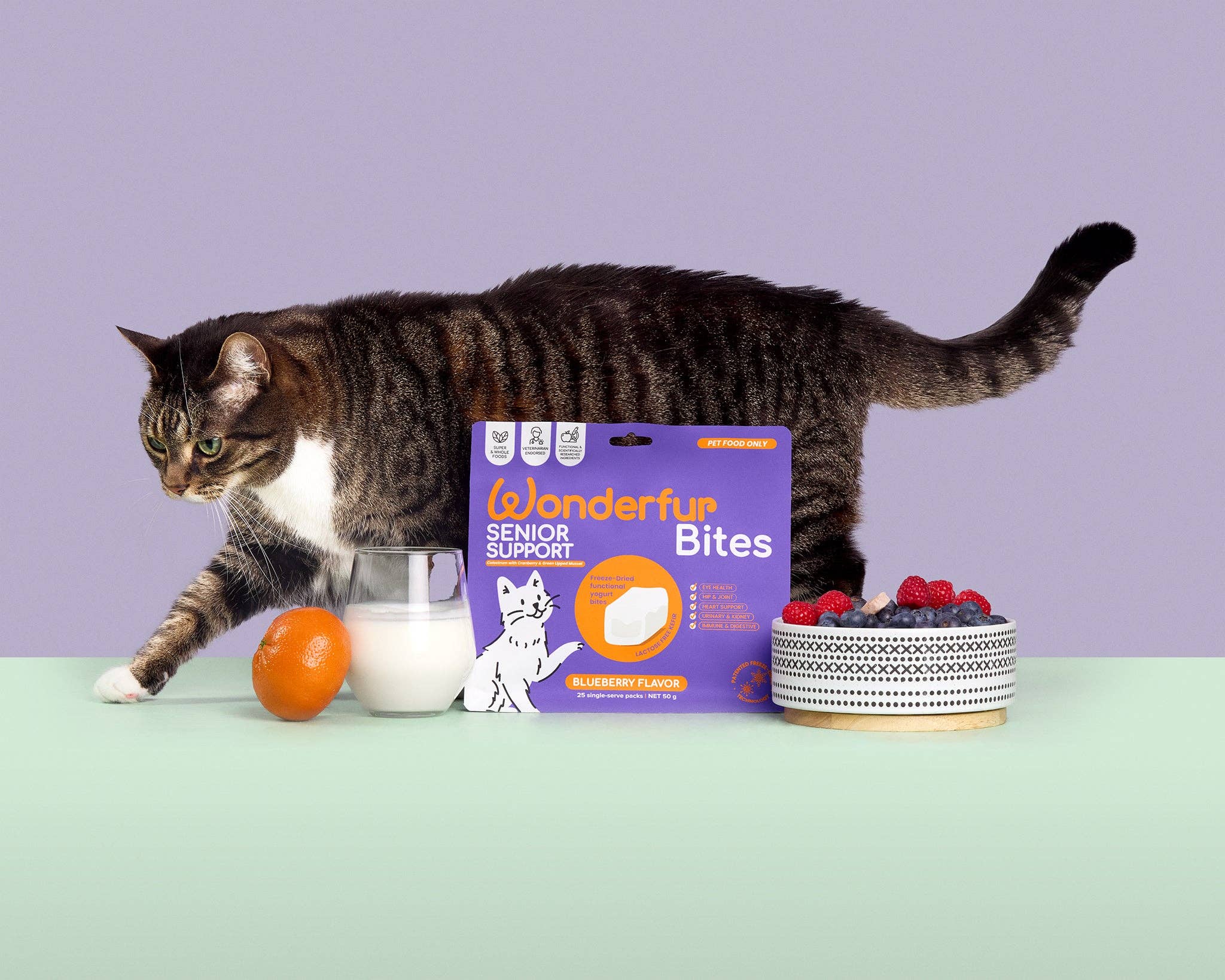 Wonderfur - Wholesale Pet treats – Cat - Wonderfur Bites Senior Support for Cats2