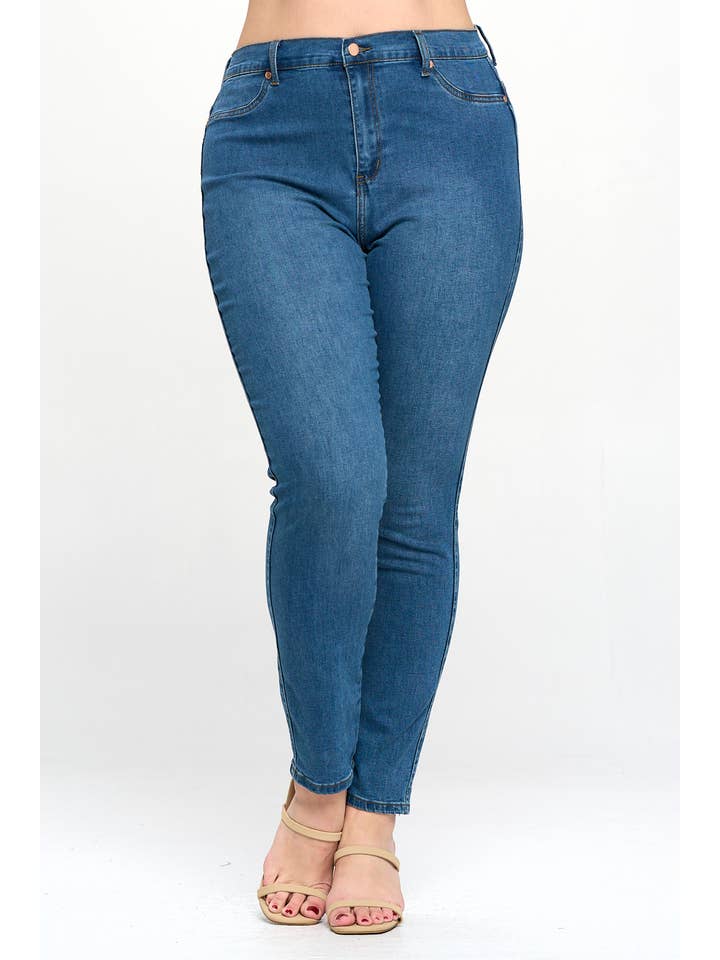 Blue Turtle - Wholesale Jeans - Women's - Plus Size High Waisted Skinny Jean Super Stretch Lt FH3500X6
