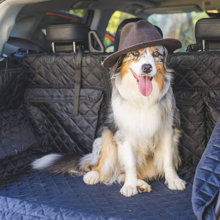 Svart bilbagageutrymme med dragsko för wholesale av Stylish Hound