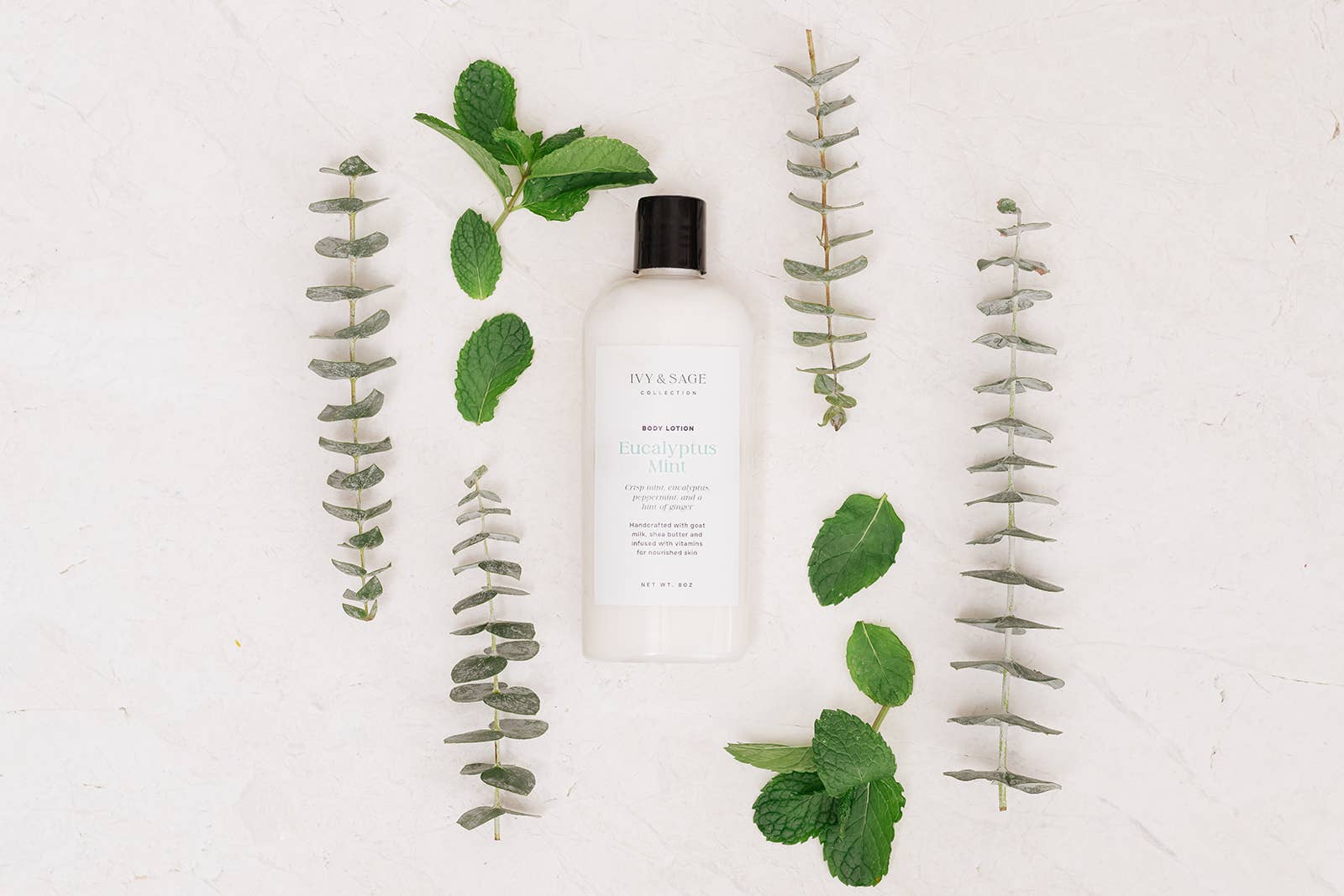 Ivy & Sage Collection - Wholesale Body Cream/Lotion - Body Lotion – Eucalyptus Mint, Hydrating & Clean2