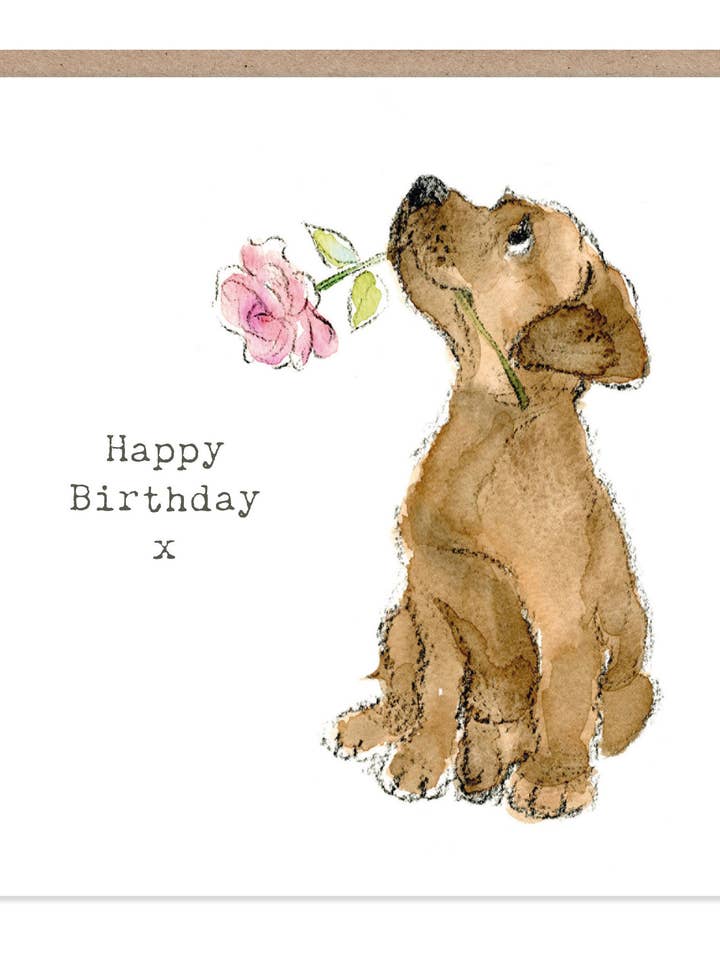 Cute Dog Birthday Card - Chocolate Lab With Pink Rose for wholesale by Paper Shed Design Ltd