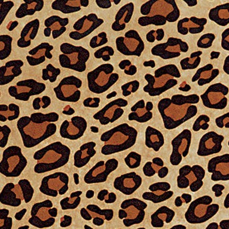 Nashville Wraps - Wholesale Tissue Paper - Animal Print Bulk Tissue Paper Sheets10