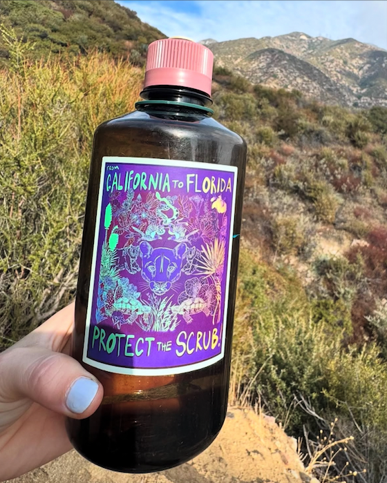 LA Is Not A Desert - Wholesale Sticker - Protect The Scrub Vinyl Sticker2