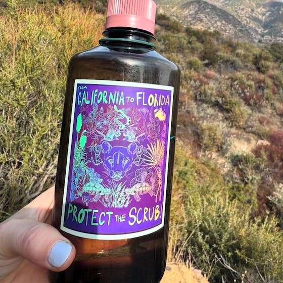 LA Is Not A Desert - Wholesale Sticker - Protect The Scrub Vinyl Sticker2