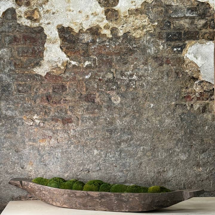 Mokoro Canoe with Preserved Moss Table Display FR56 and other Purchase wholesale java moss. Free returns & net 60 terms on Faire trending on Faire.