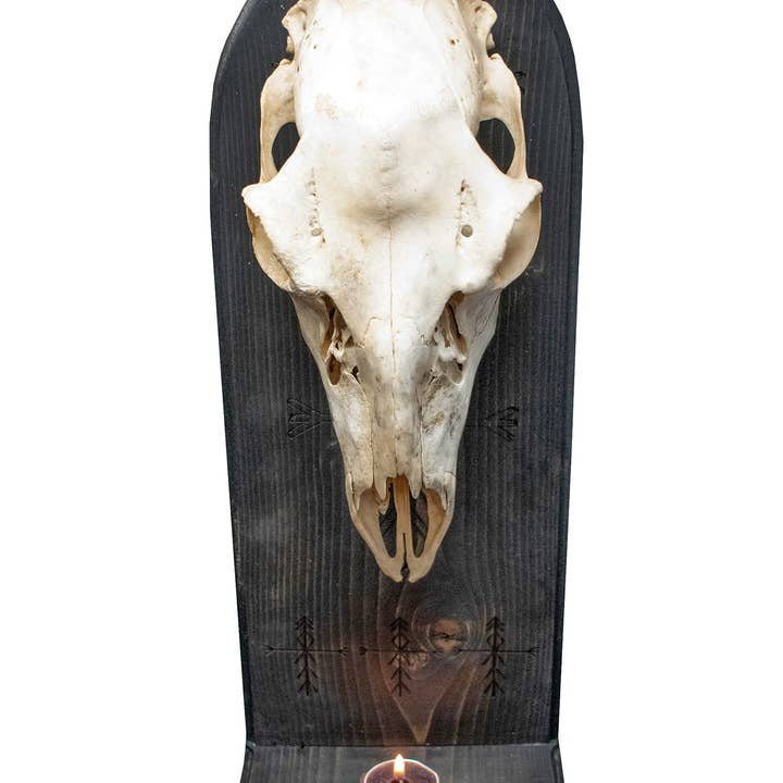 Autel de crâne de cerf avec bindrunes de protection de la maison pour la vente par Oreamnos Oddities