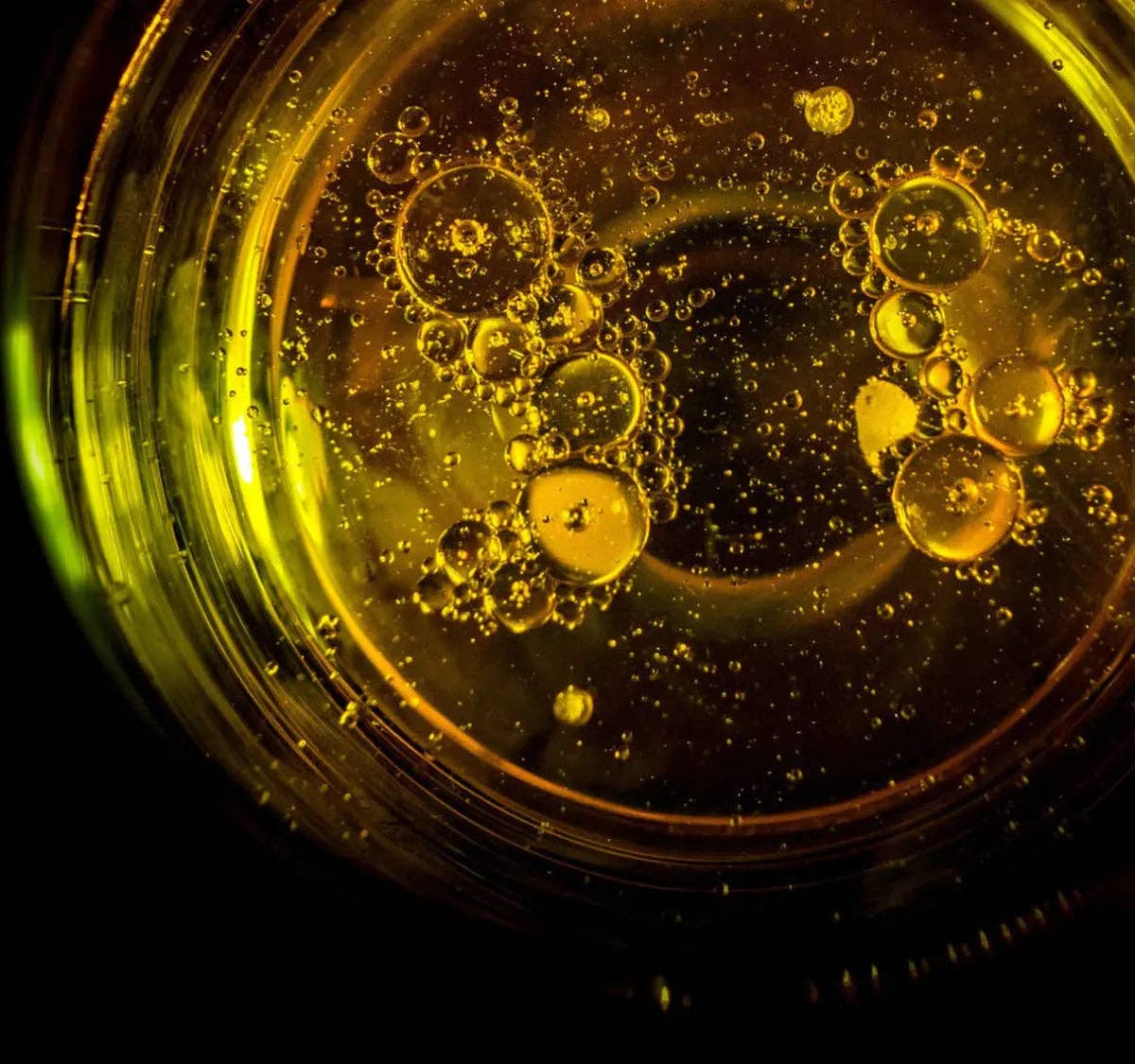 Schizandu Organics - Wholesale Oral Supplement/Vitamin - High Potency, Pure Algae Oil - Omega 3 Supplement7