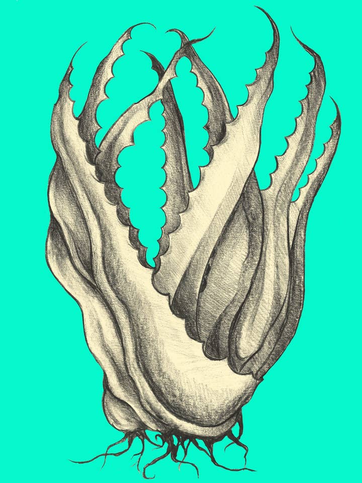 Colored Pencil Agave - 11"x14” Print, Neon Turquoise for wholesale by Chris Granillo Art
