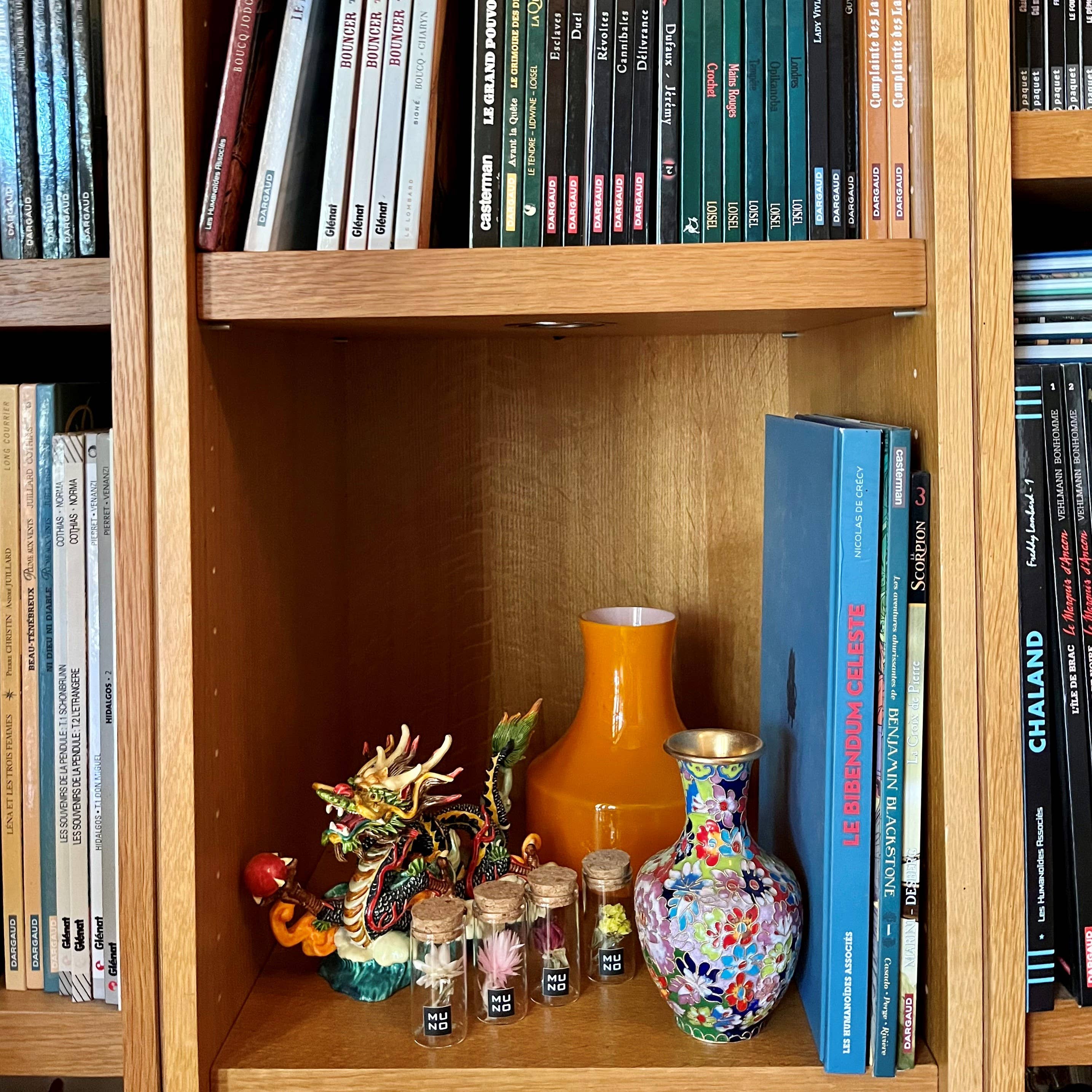 Muno - Wholesale Dried/Pressed Flowers - TUBE 6 CM WITH DRIED FLOWER2