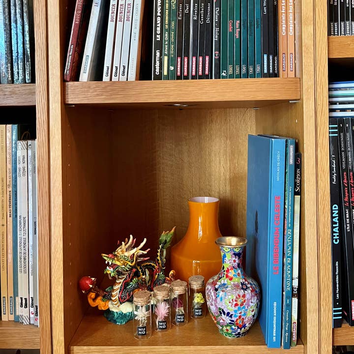 Muno - Wholesale Dried/Pressed Flowers - TUBE 6 CM WITH DRIED FLOWER2