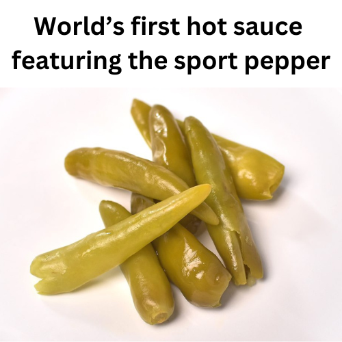 Big Fork - Wholesale Hot Sauce - Chicago Fire Sauce – Gourmet Hot Dog & Grill Hot Sauce4