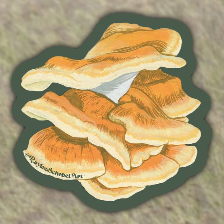 Chicken Of The Woods Vinyl Sticker for wholesale by Raylee Schobel