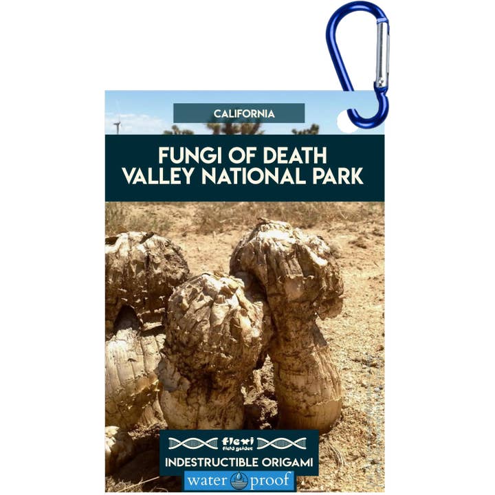 Pilze des Death Valley NP-Unzerstörbares Origami für den Großhandel von Flexi Field Guides