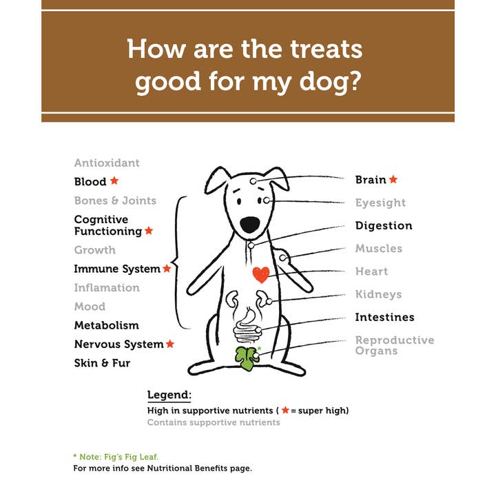 Fig & Tyler - Wholesale Pet Treats - Dog - Freeze-Dried Turkey Heart Morsels3