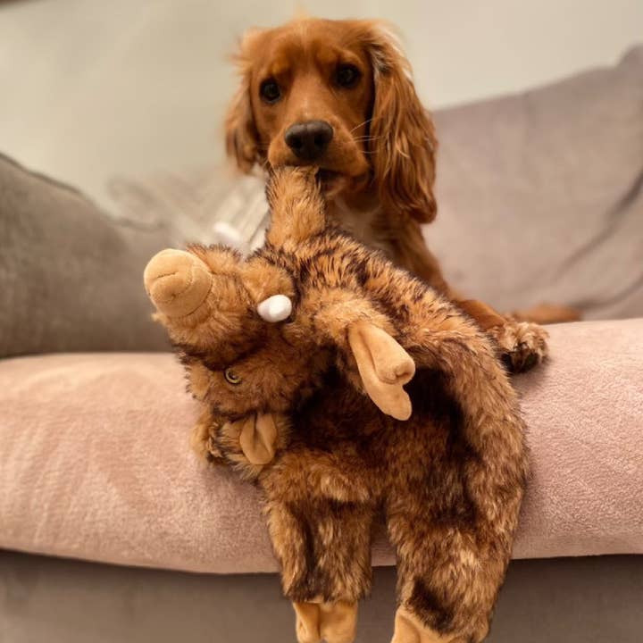 Ancol Pet Products Ltd - Wholesale Pet Plush Toy - Dog - The Heritage Collection Huge Hog Unstuffed Toy 2