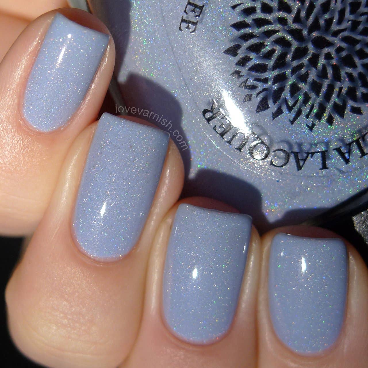 Black Dahlia Lacquer – wholesale Nail polish – African Violets4