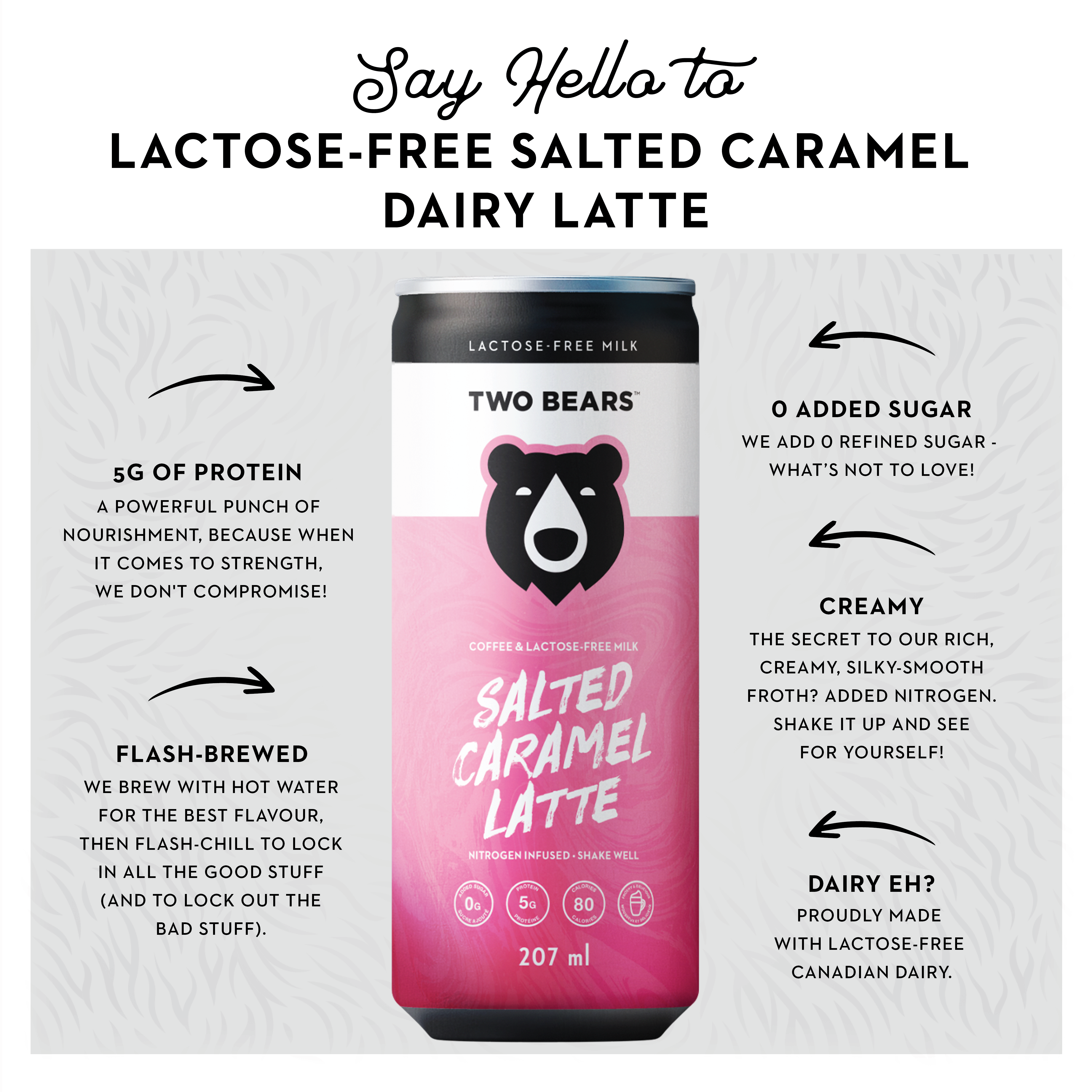 Two Bears – wholesale Iced Coffee/Cold Brew – Lactose-Free Dairy Salted Caramel Latte (207 ml)2