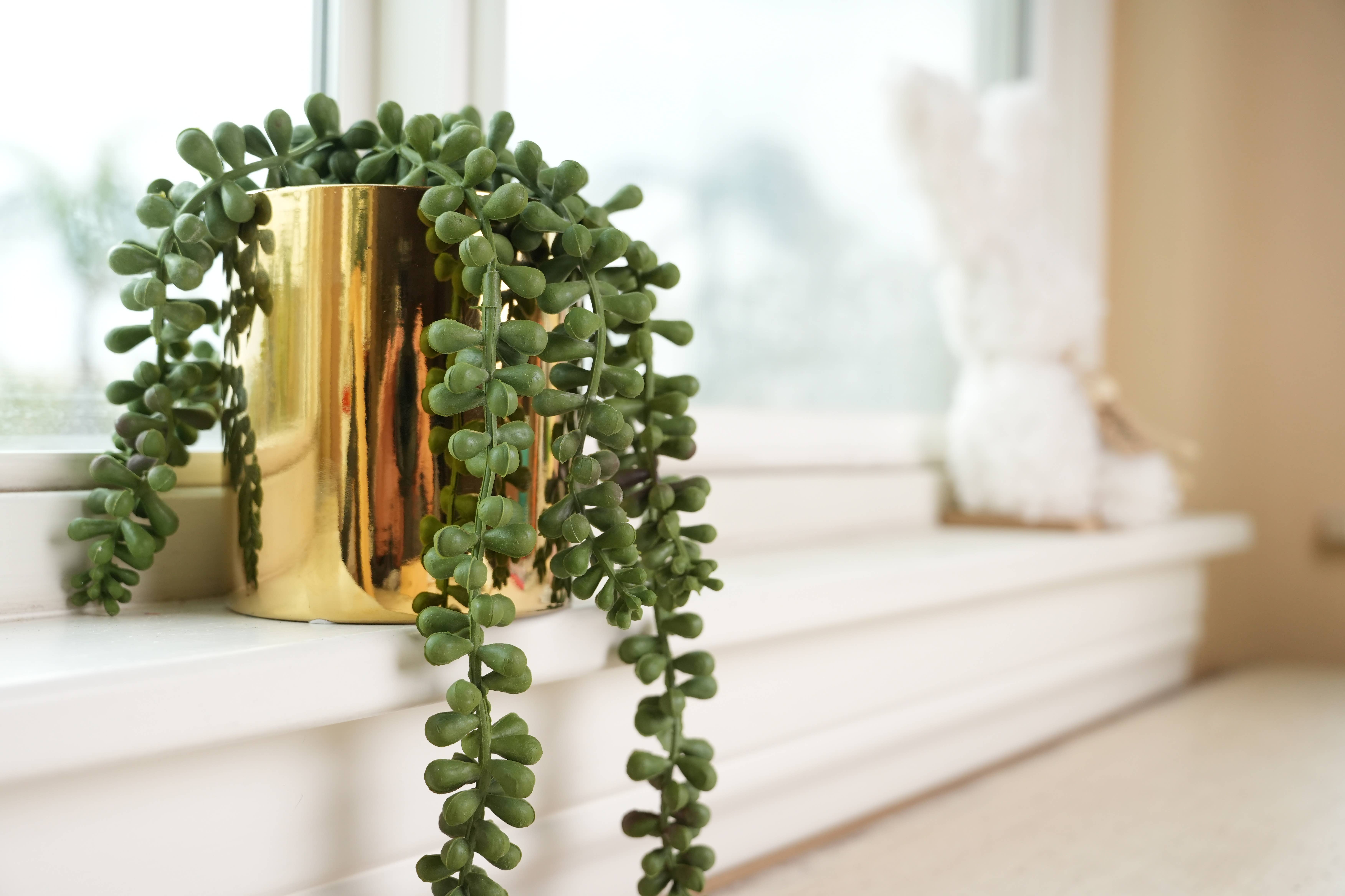 Flora Bunda Inc - Wholesale Succulent - Trailing Faux Succulent in Shiny Gold Pot2