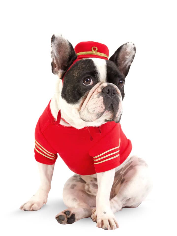 Väldet Hund Sweatshirt för wholesale av MOSHIQA