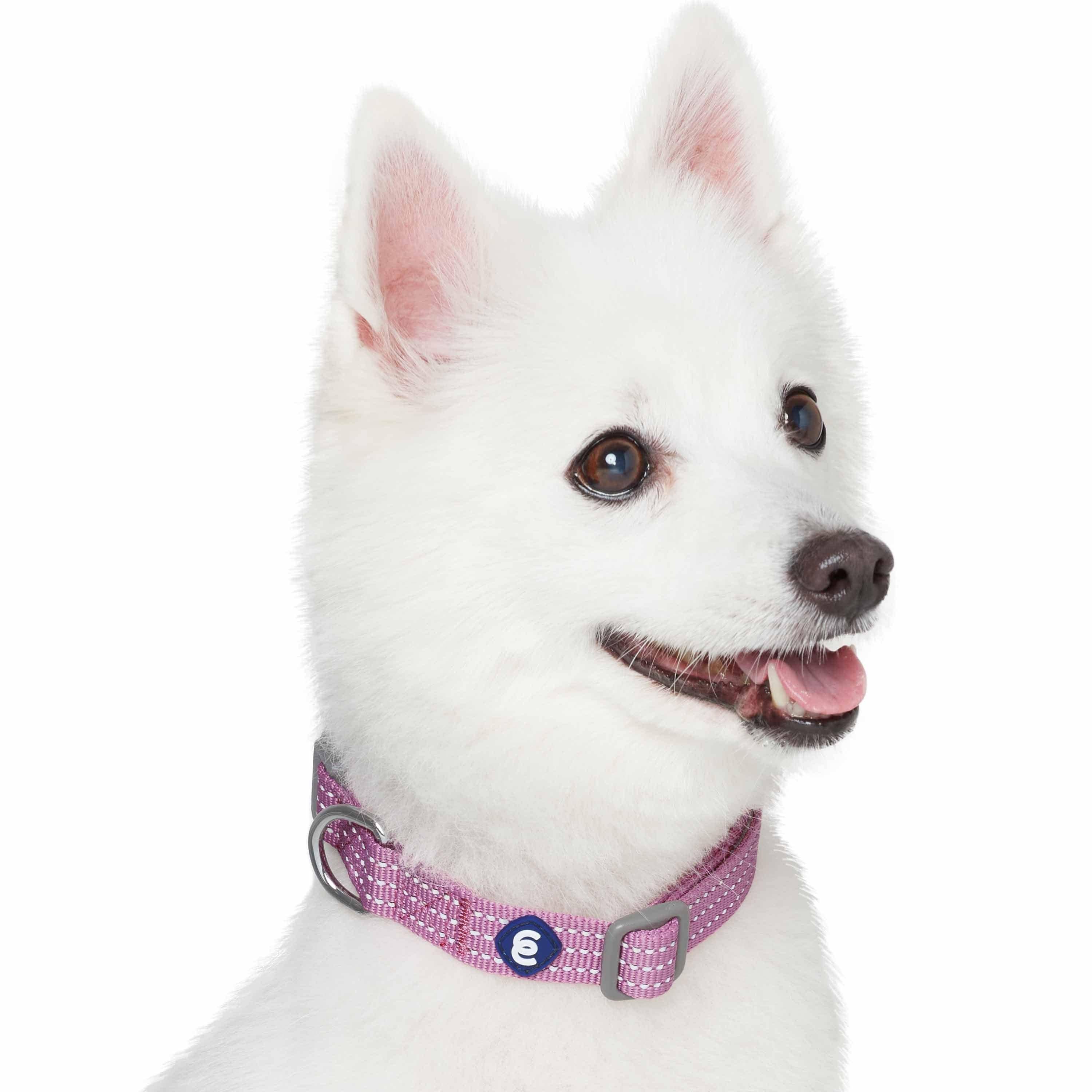 Blueberry Pet - Venta al por mayor Collar - Perros - Collar reflectante para perros Better Basic en 8 colores14