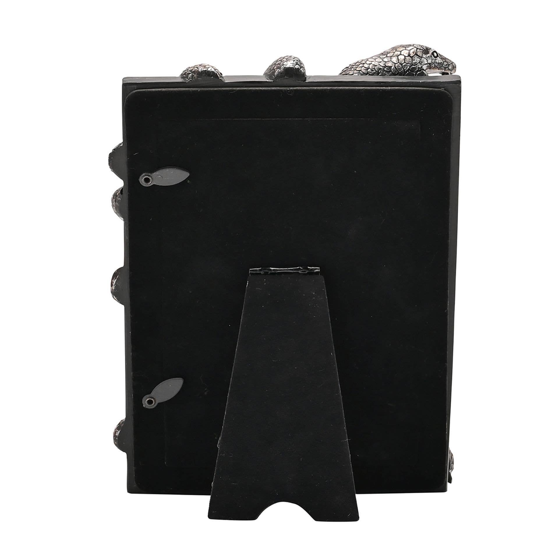 WIDDOP and Co. - Vendita all'ingrosso Cornice portafoto - Cornice Warner Bros Harry Potter Dark Arts - Nagini4