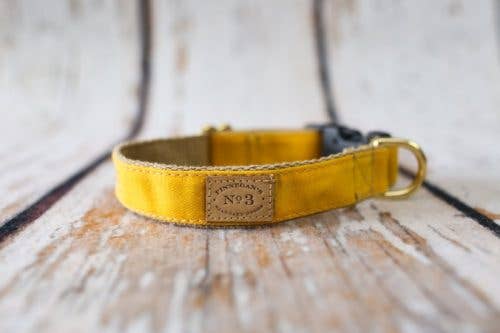 Finnegan’s Standard Goods – wholesale Halsband - Hund – 1" GUL VAXAD BOMULL KRAGE0