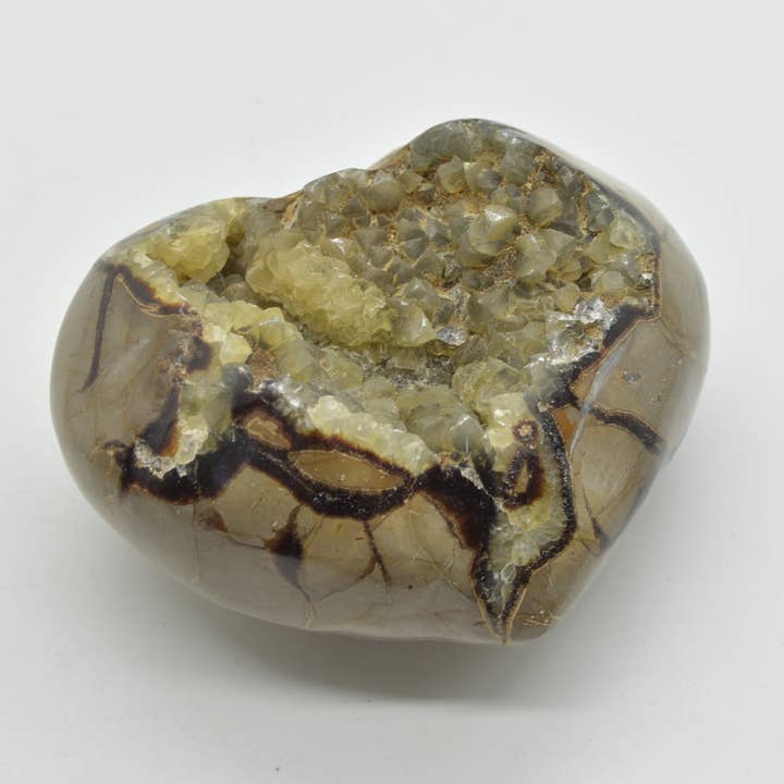 Large Septarian Dragon Stone Crystal Puffy Heart #03 for wholesale by Calder Crystals