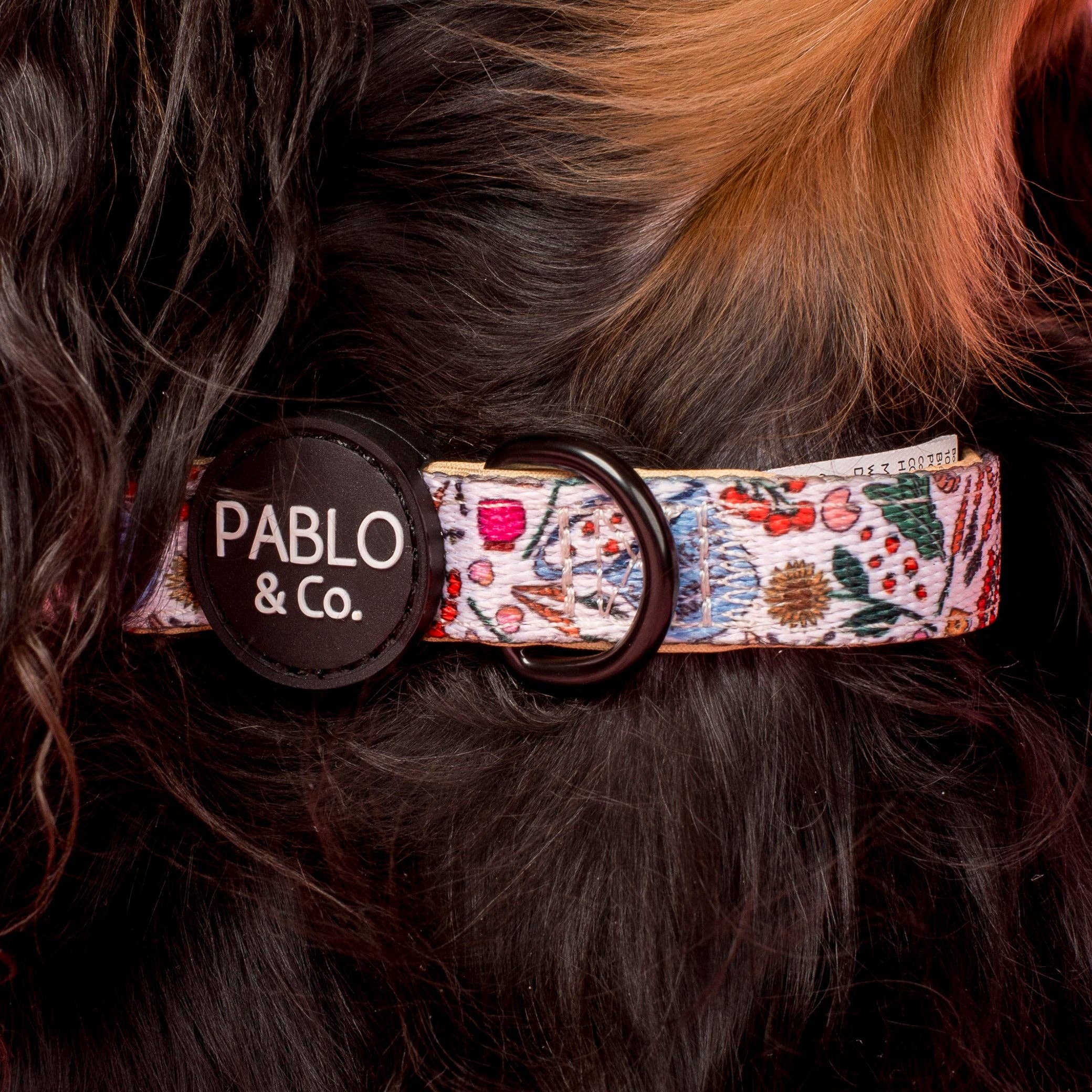 Pablo & Co. Boutique - Wholesale Pet collar – Dog - Farmers Market: Collar1