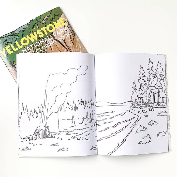 Corvidae drawings & designs - Wholesale Coloring Book - Adult - Yellowstone National Park Coloring Book