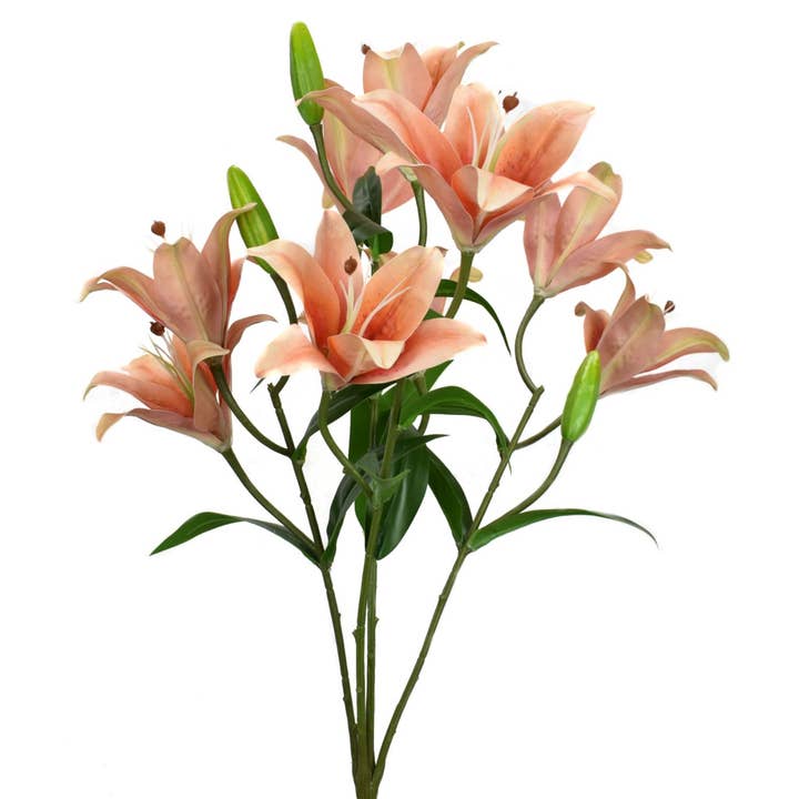 21” Tiger Lily Bush - Melon for wholesale by David Christopher's Collection