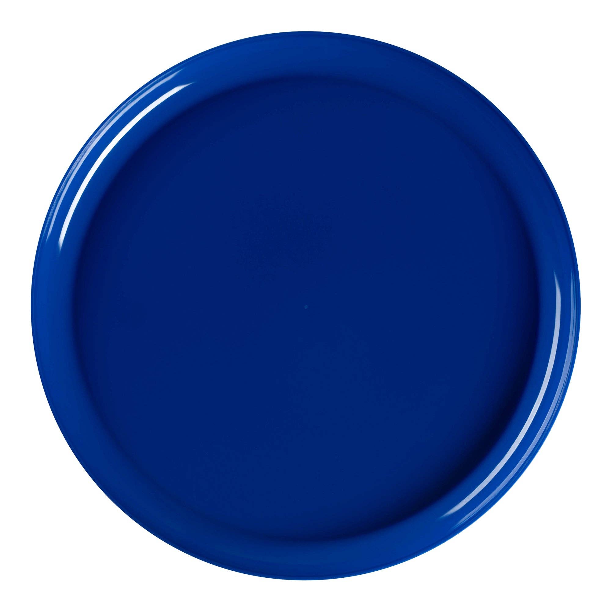 Smarty had a Party – wholesale Disposable plate – 8.5" Blue Flat Round Plastic Appetizer/Salad Plates - 10 pcs1