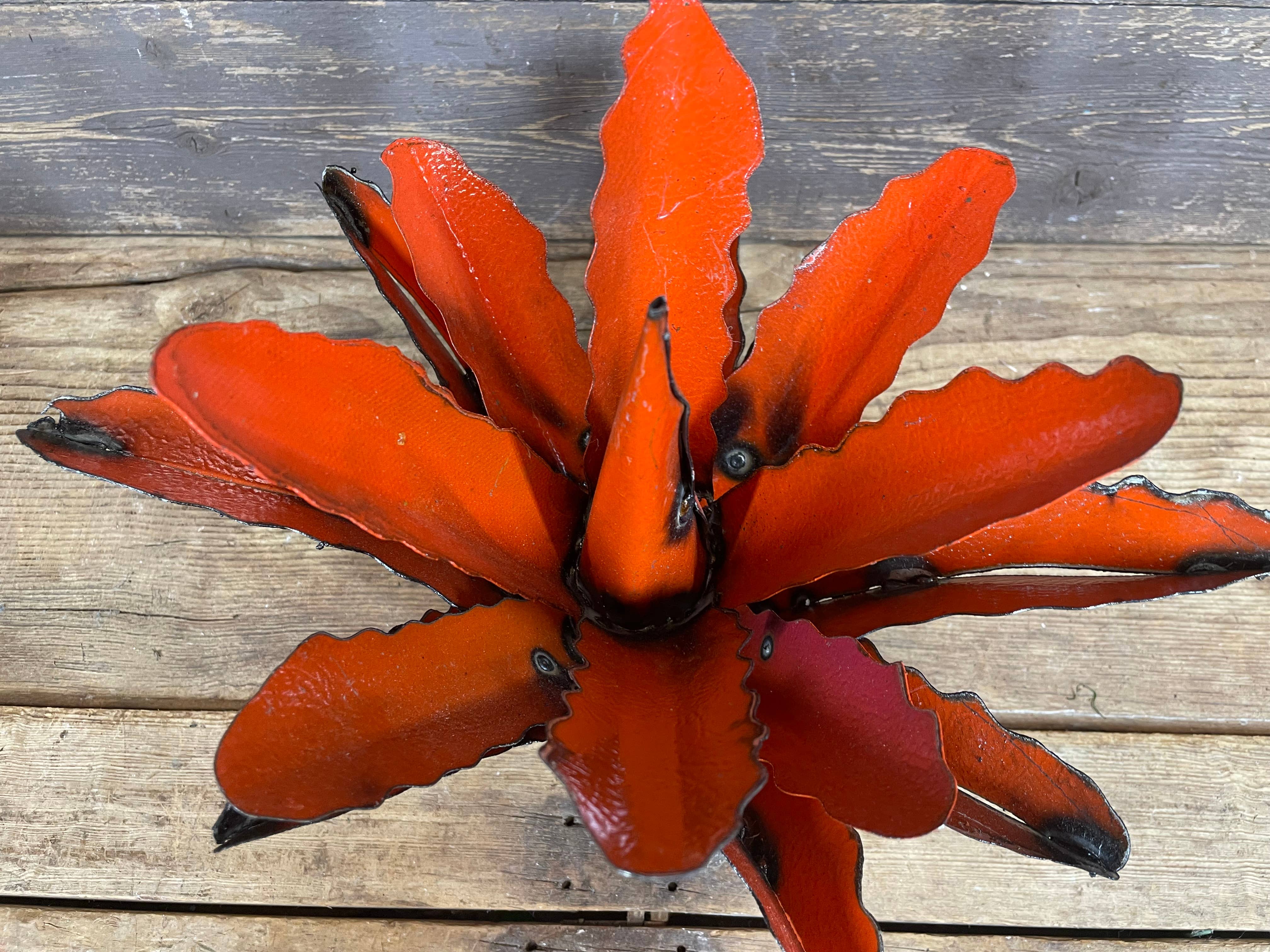 My Amigos Imports - Vendita all'ingrosso Decorazioni da tavolo - Maguey Agave Cactus di Metallo Colorato-Cactus-33x28 cm-NUOVO12