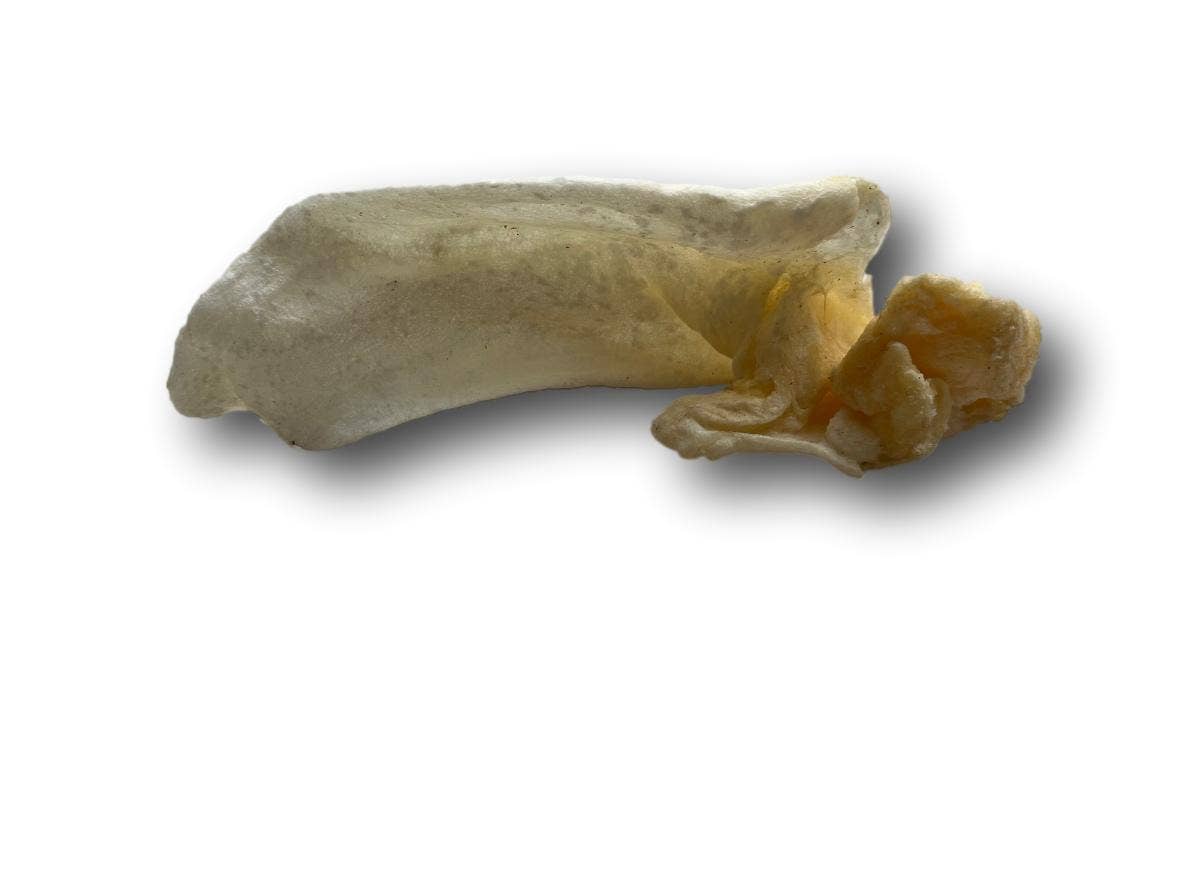 Healthy Dog Chews - Wholesale Pet Treats - Dog - Lamb Ears  (LB0100LE)4