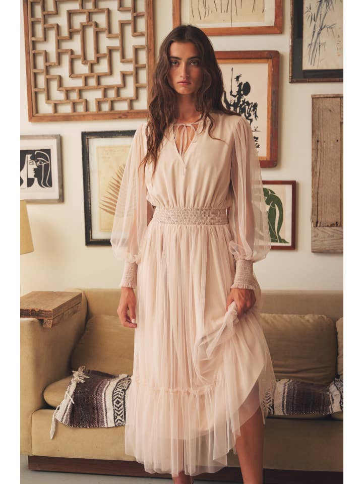 in february - Wholesale Dress - Women's - ROMANTIC IN DELICATE SHEER MESH V-NECK MIDI DRESS