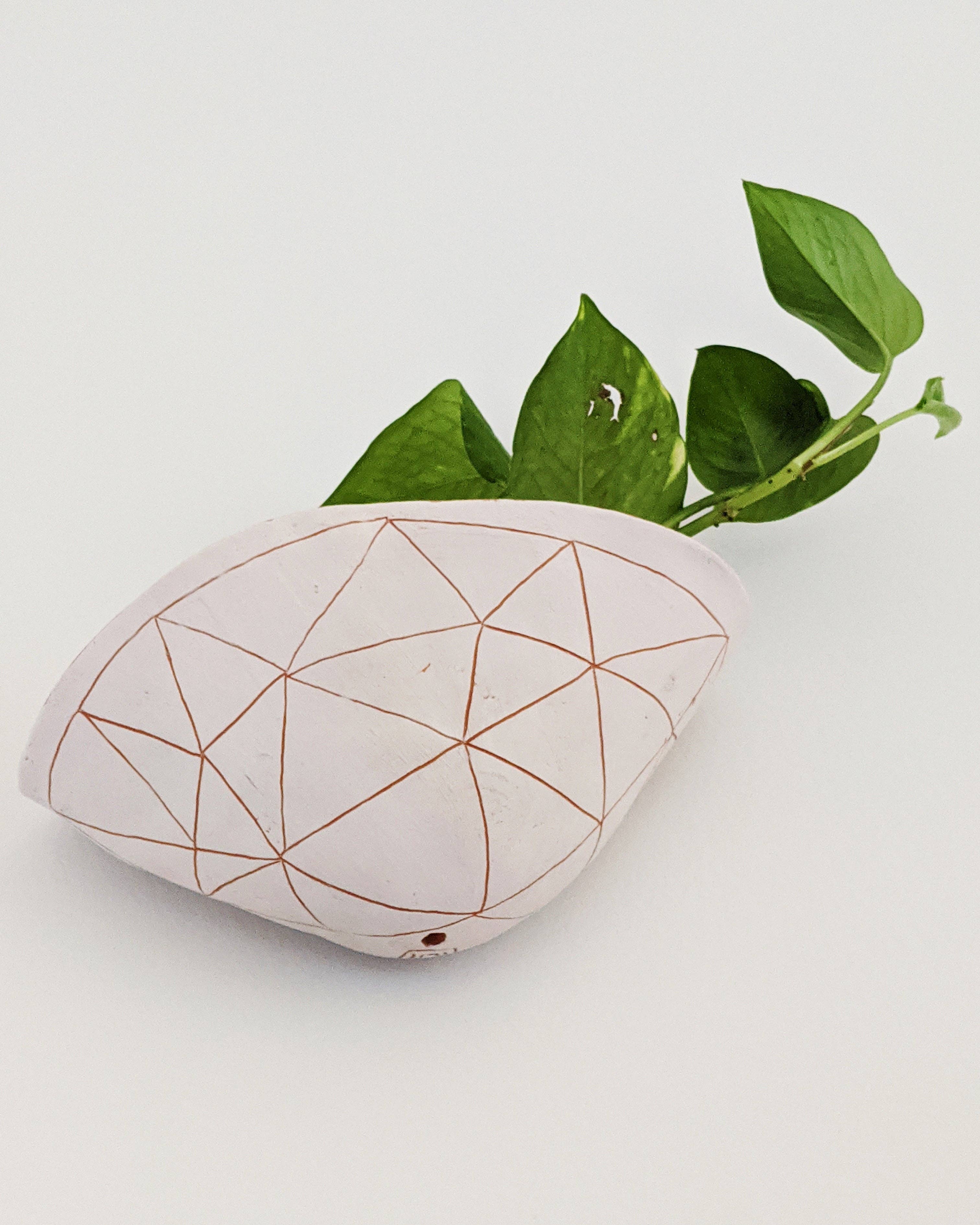 Half Light Honey - Wholesale Wall Planter - GEOTRIANGLE - 7x4" Wide Wall Pocket Planter - White & Red Earthenware Clay3