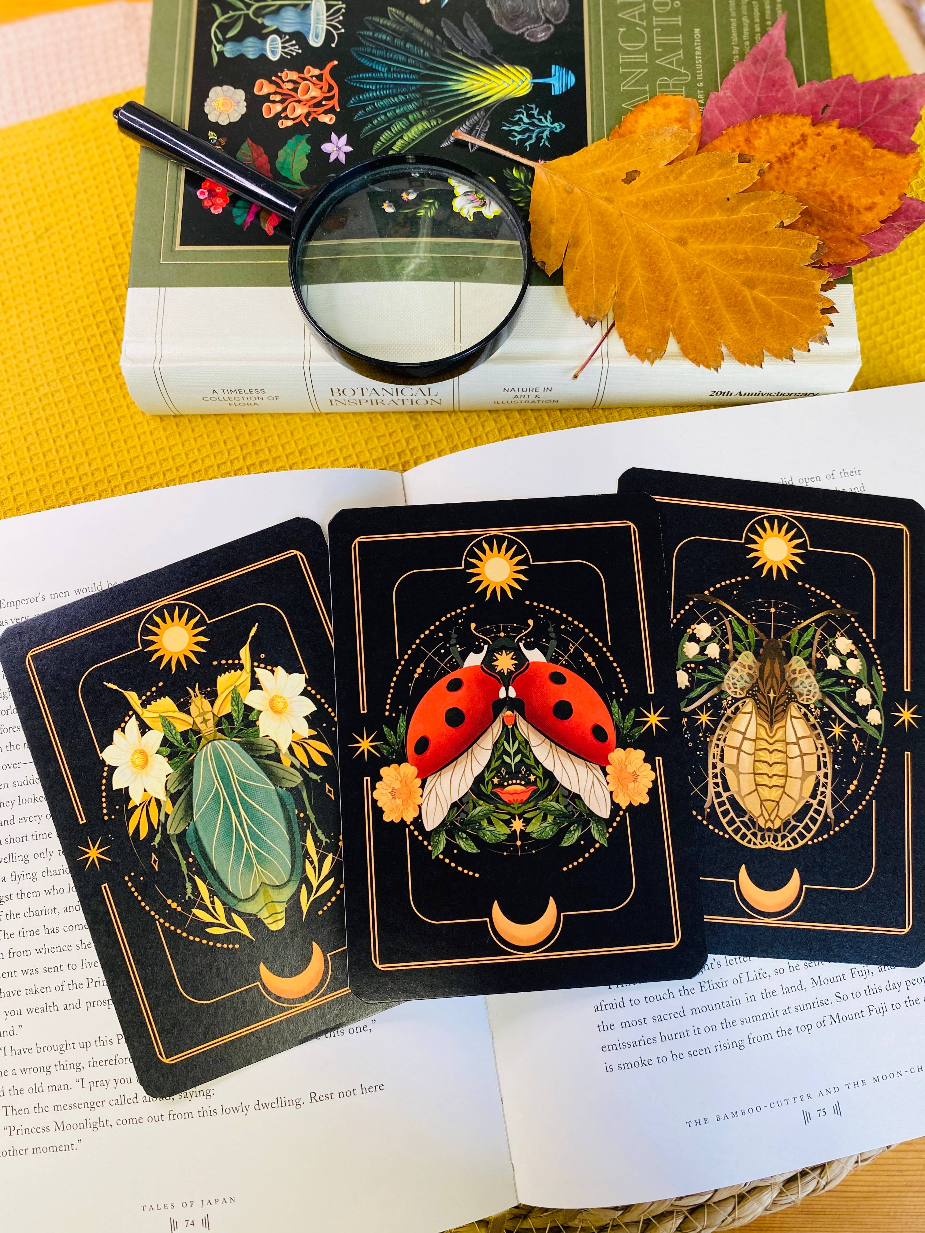 Split Moon Studios - Wholesale Art Print - A Set of Insect Art Prints - A6 Post Card Size - Artprint14